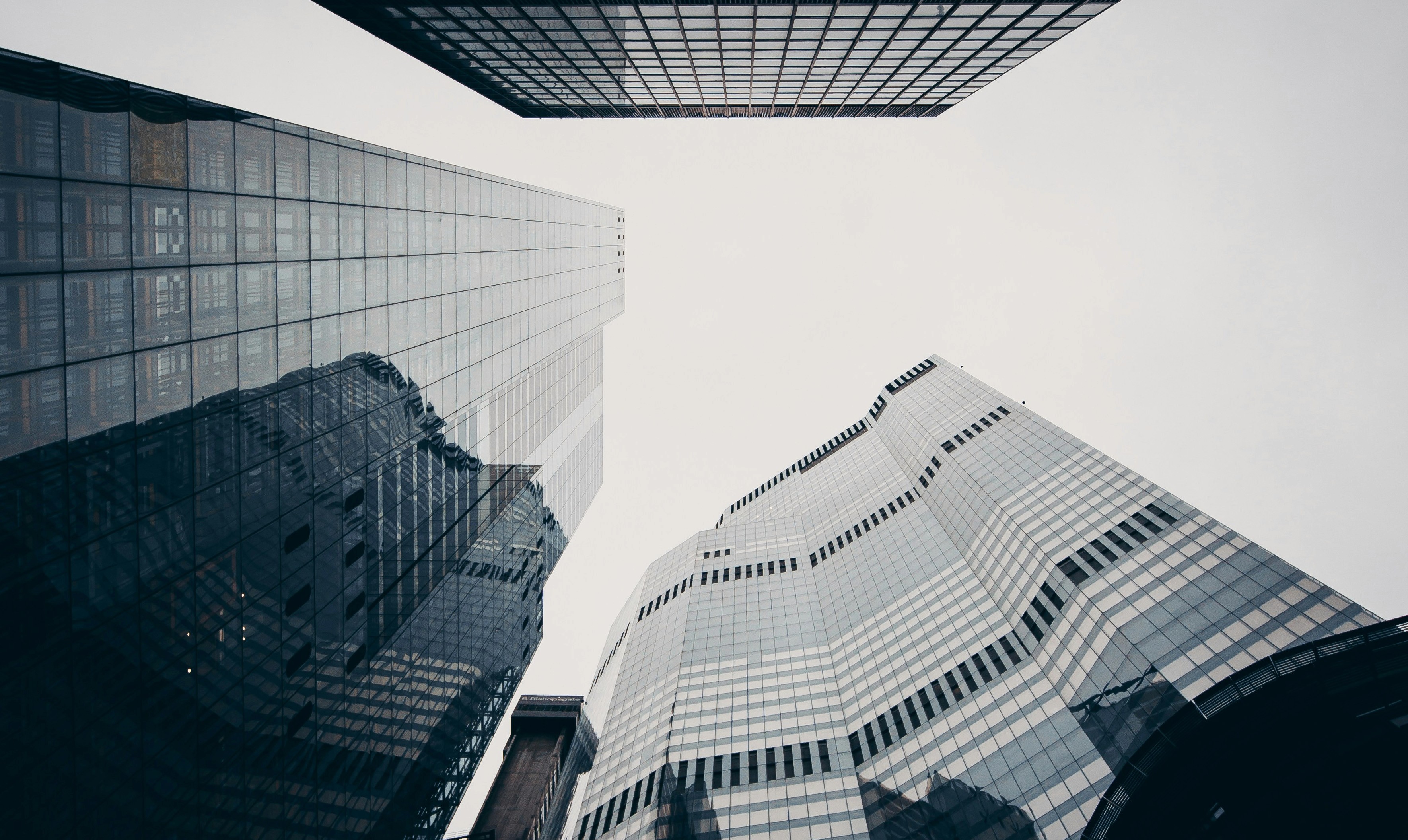 flat lay photography of man and woman holding hands together