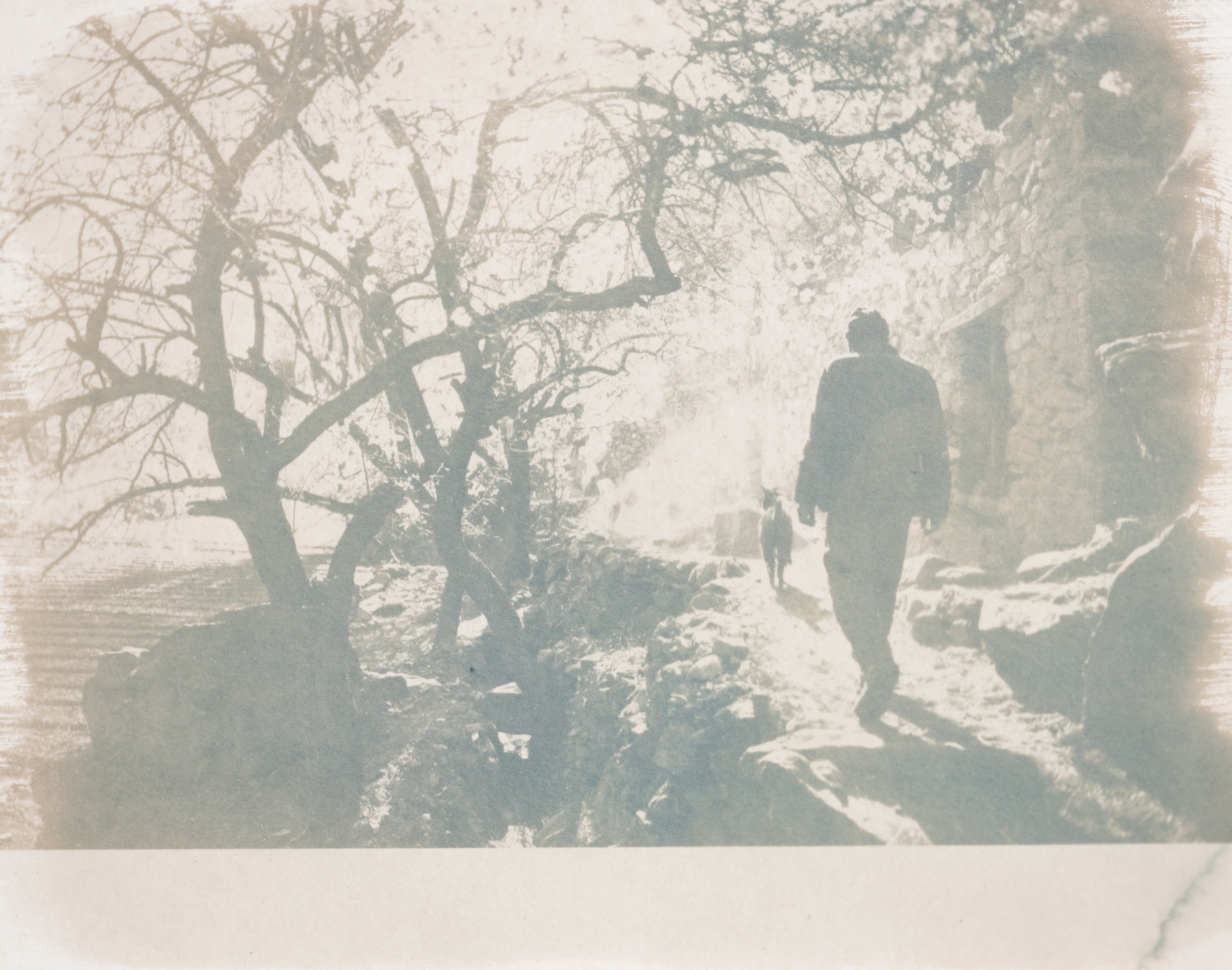 herd of sheep on road painting