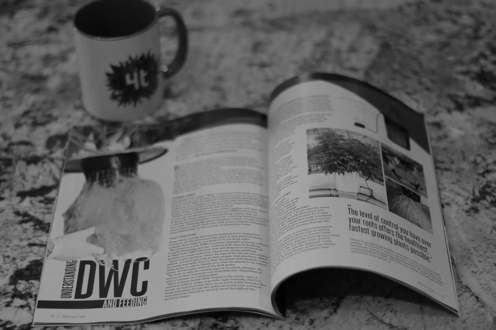 4trees Cannabis Building magazine article in Maximum Yield