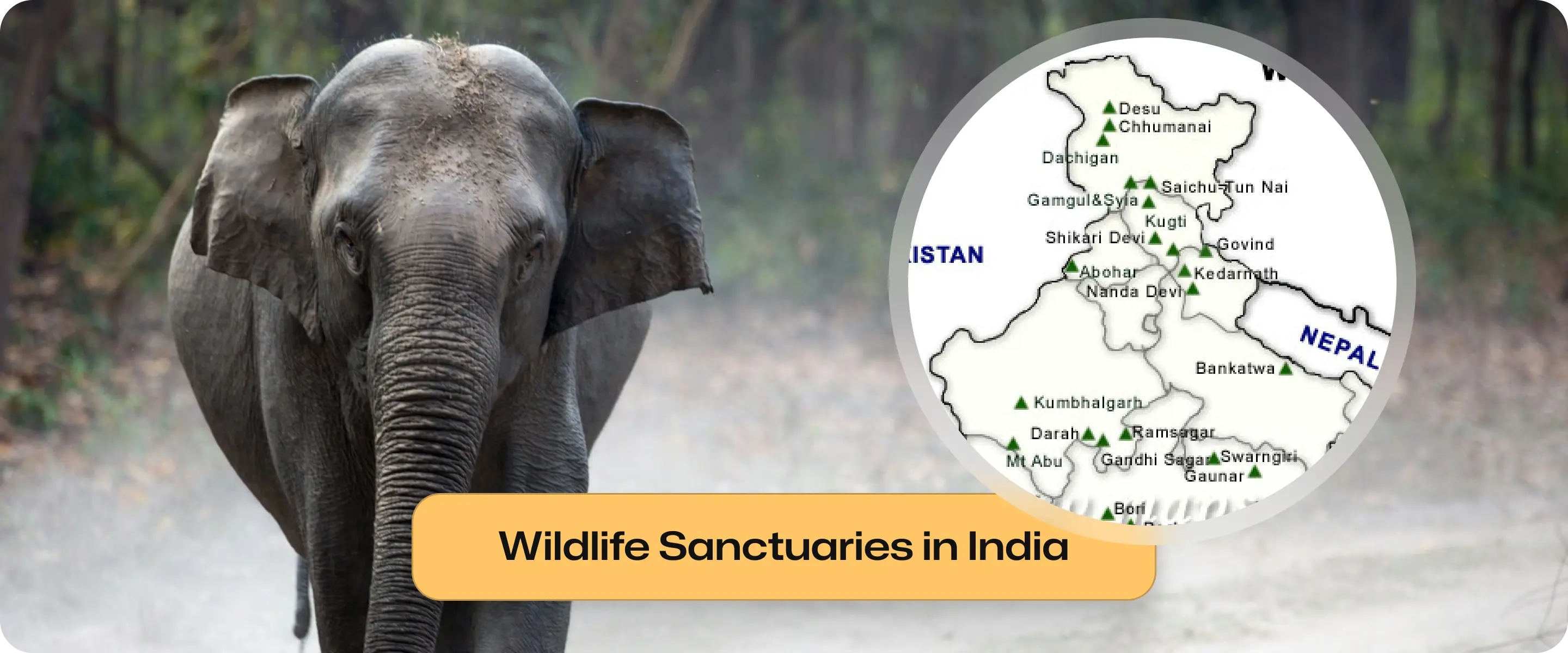 Wildlife Sanctuaries in India: List, Map, Features, Importance