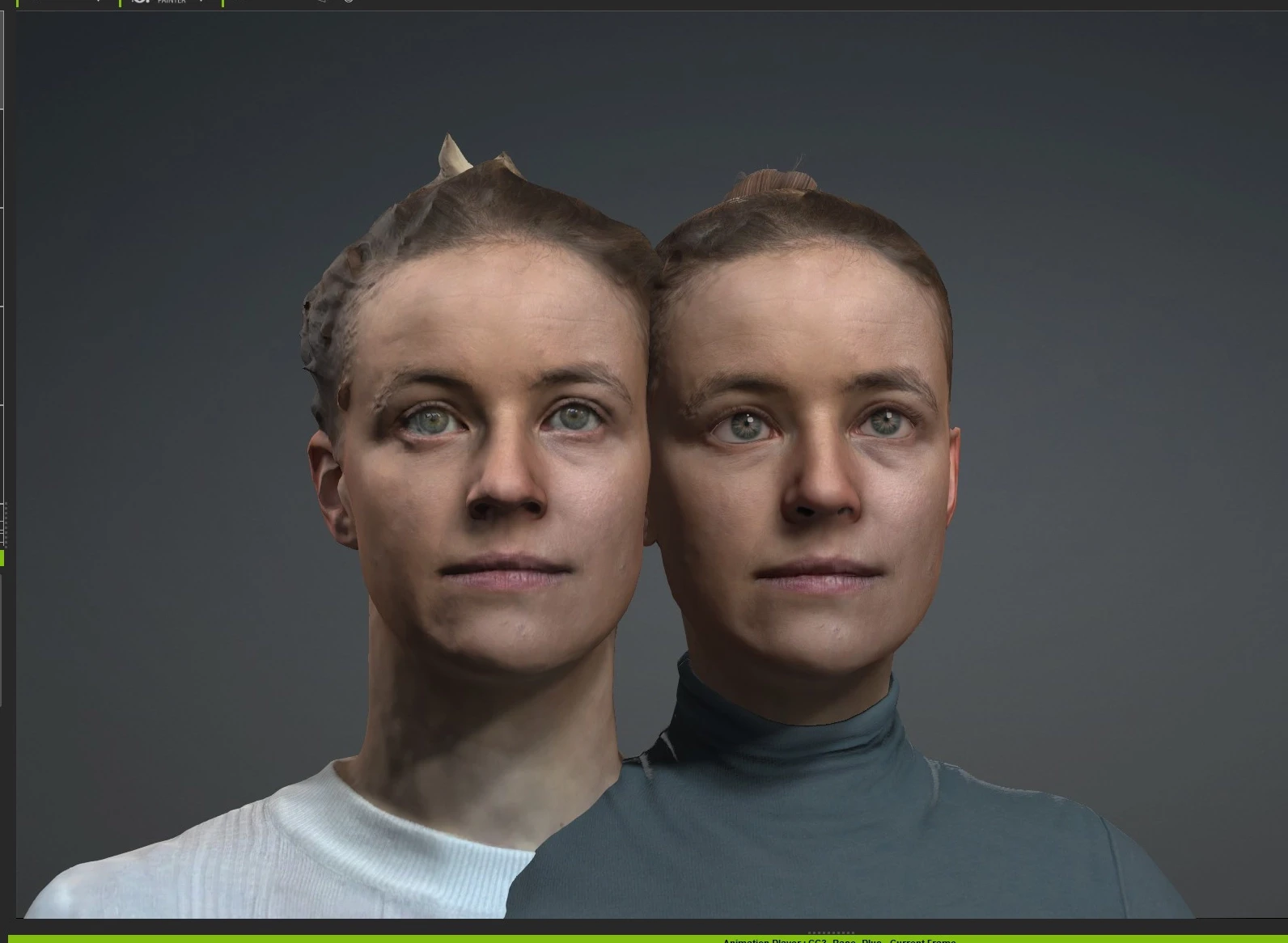 Left photogrammetry, right twin recreation