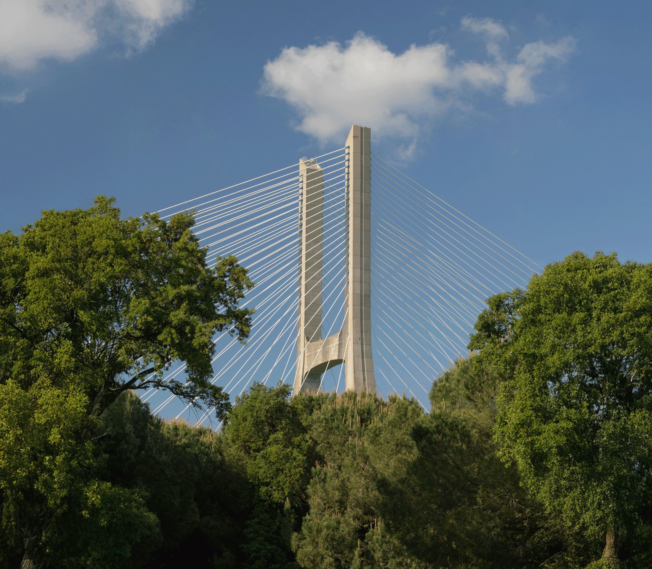 Bridge Management System