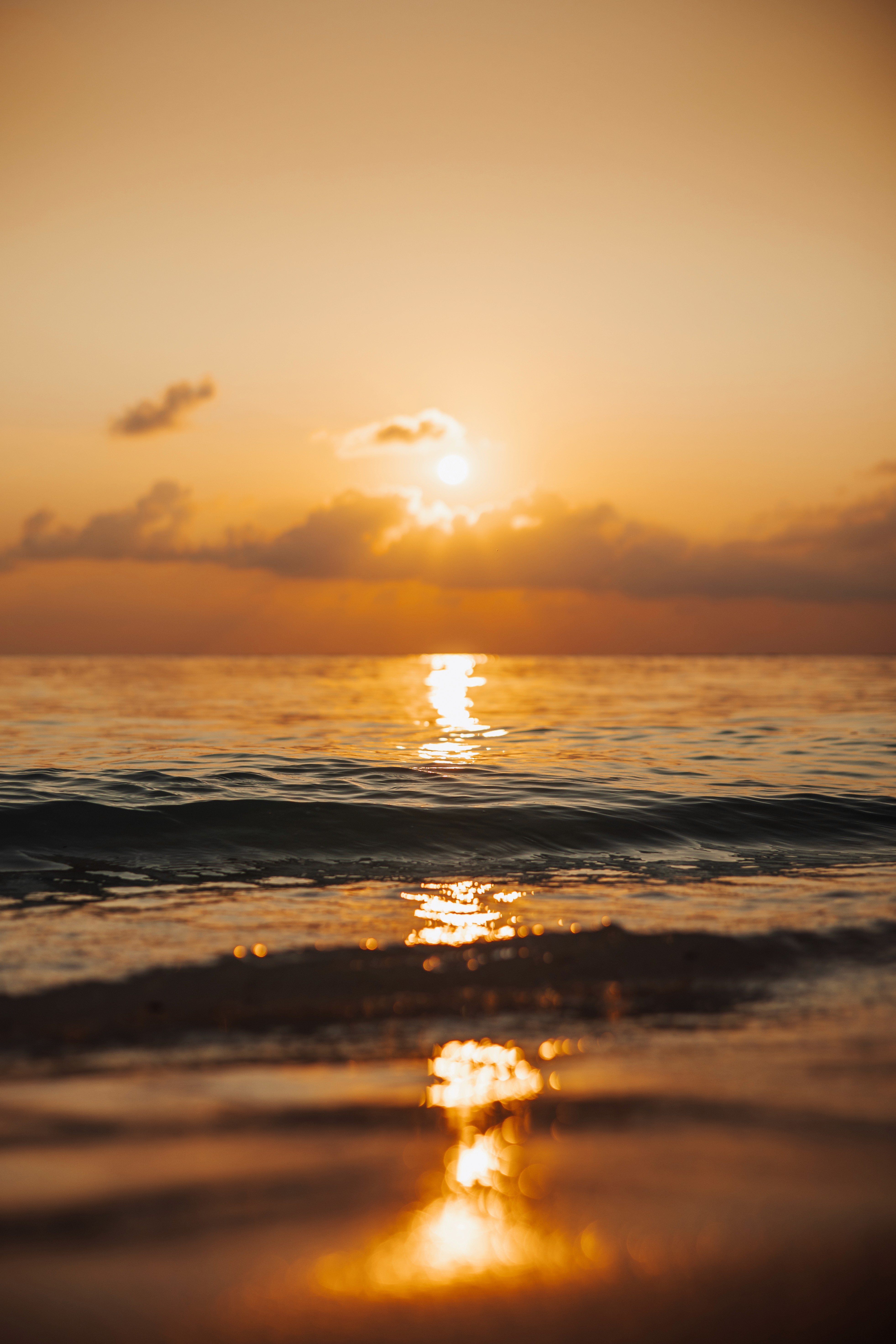 Bellevoire Reception