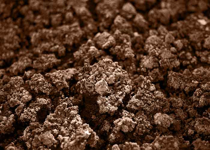 holding soil in hand