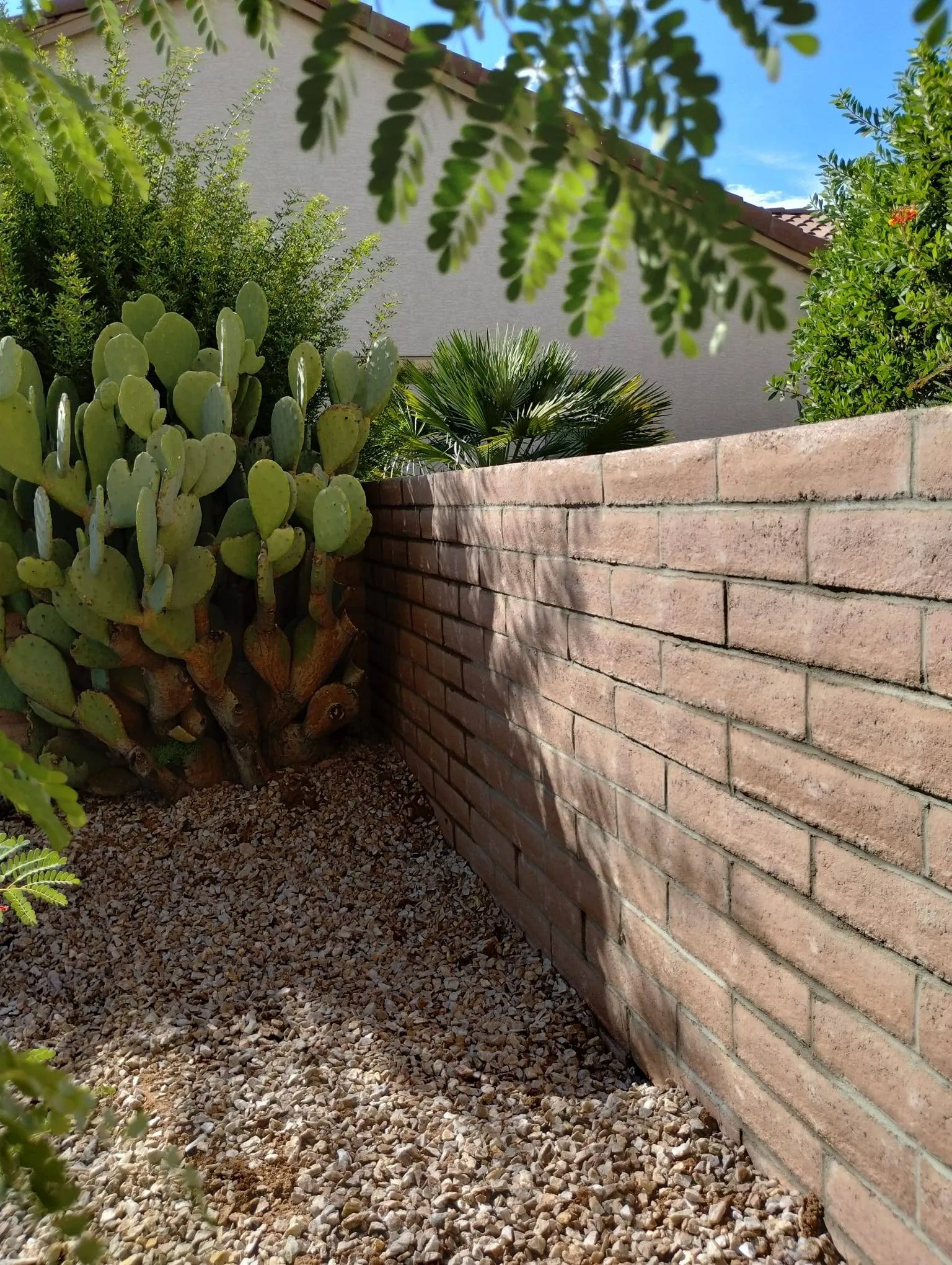 Finished block privacy wall with desert landscaping in Tucson