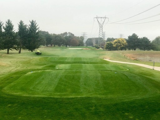 Perennial ryegrass seeded tee in Canberra