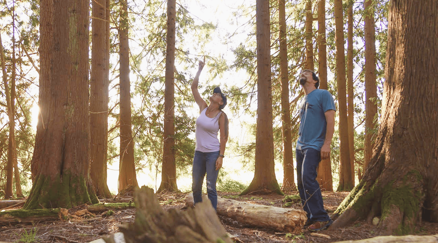 Two people standing together among tall trees on the land.