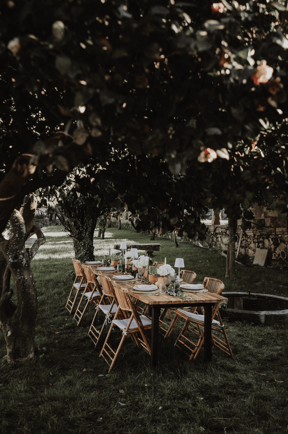 A beautifully set dining table with white tablecloth, cutlery, and fresh greenery in a cozy, well-lit space.