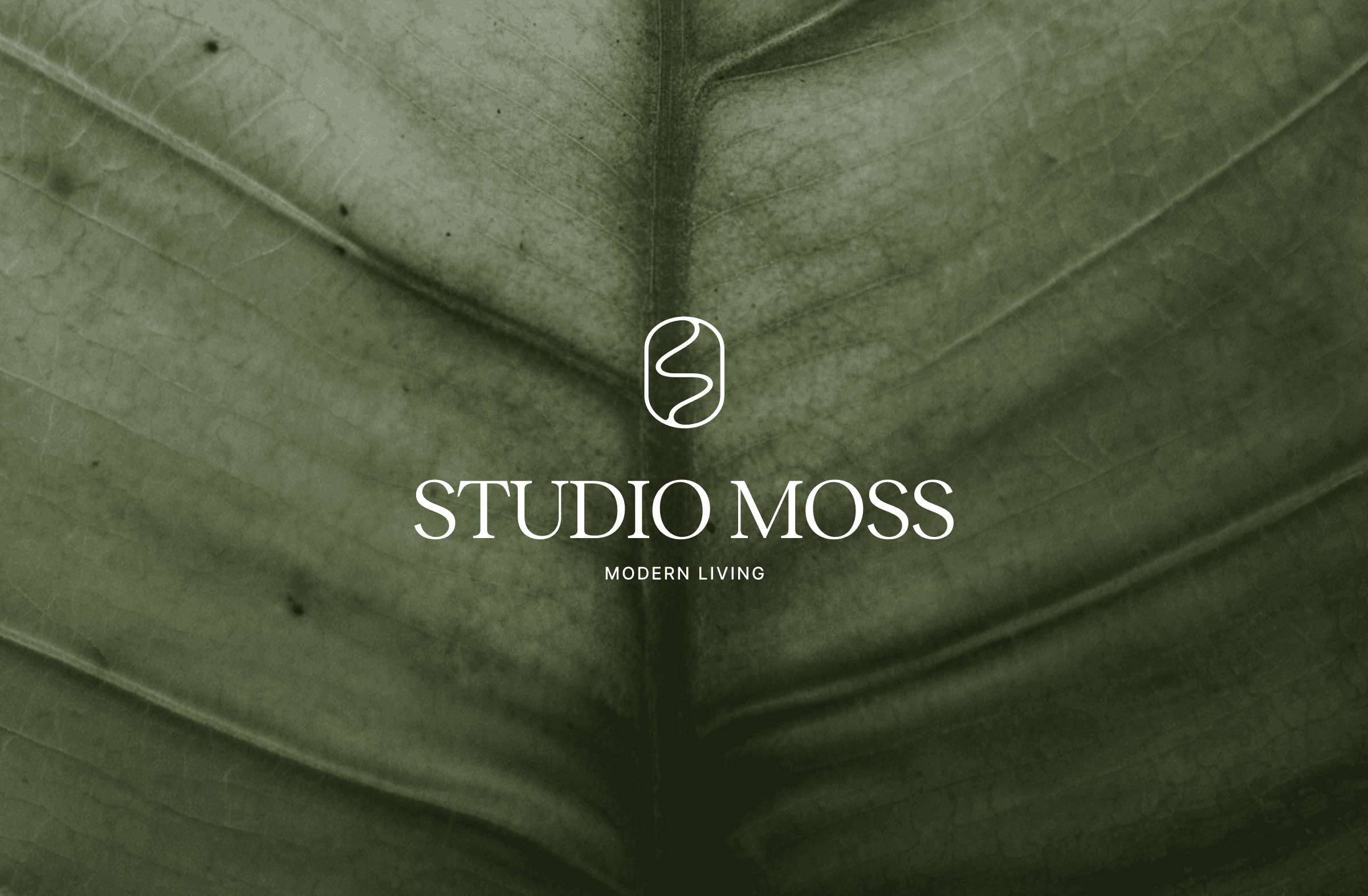 Studio Moss: Oplossing (ontwerp)
