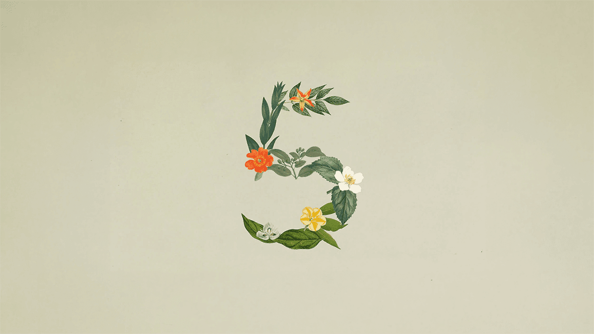 Claude Sonnet 5 logo