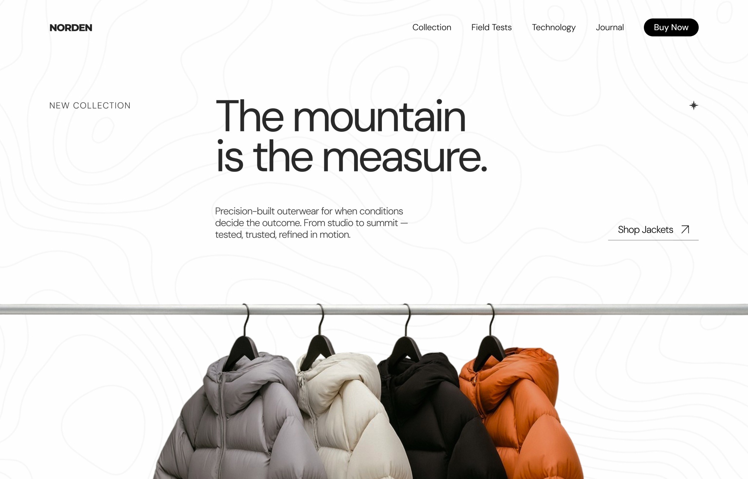 Website design screenshot