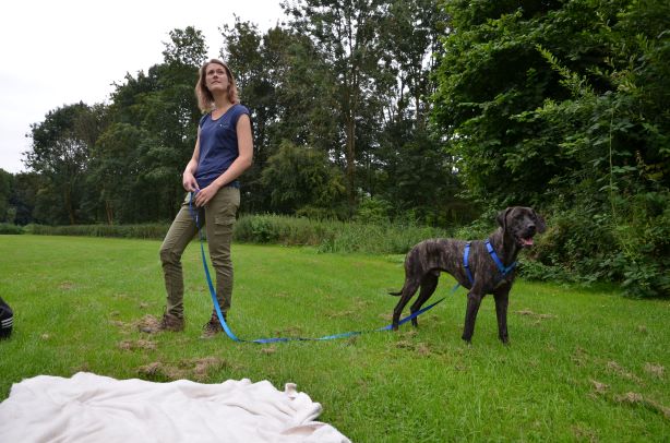 hero en kelly lange lijn 2