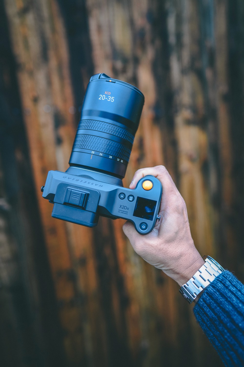 Portrait of a woman lit by a circular yellow light behind her head.