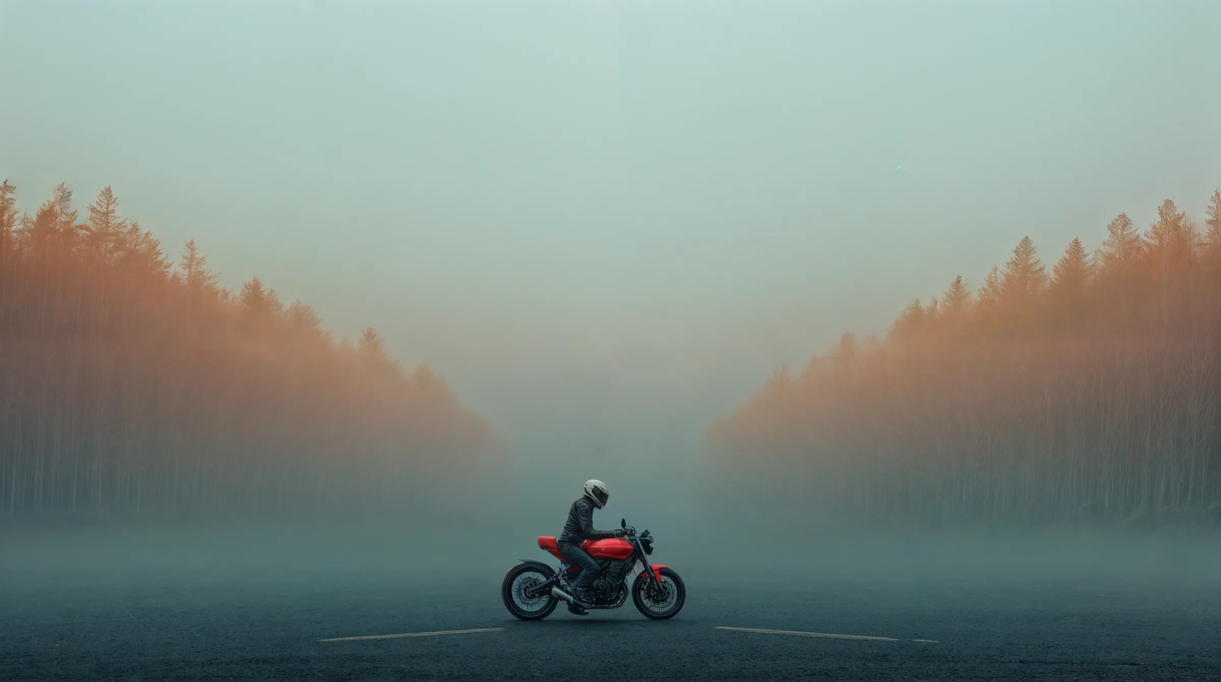 A person on a bicycle in a misty landscape with soft hues, surrounded by trees and a serene atmosphere.