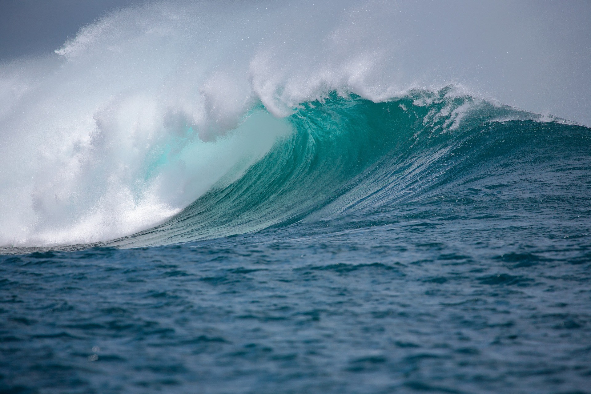 numelume wave image
