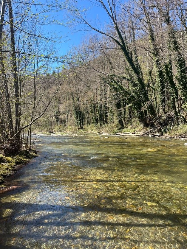 Fly fishing in Catalonia: Fisherman standing knee-deep in a pristine stream, casting a line into a tranquil bend near Barcelona.
