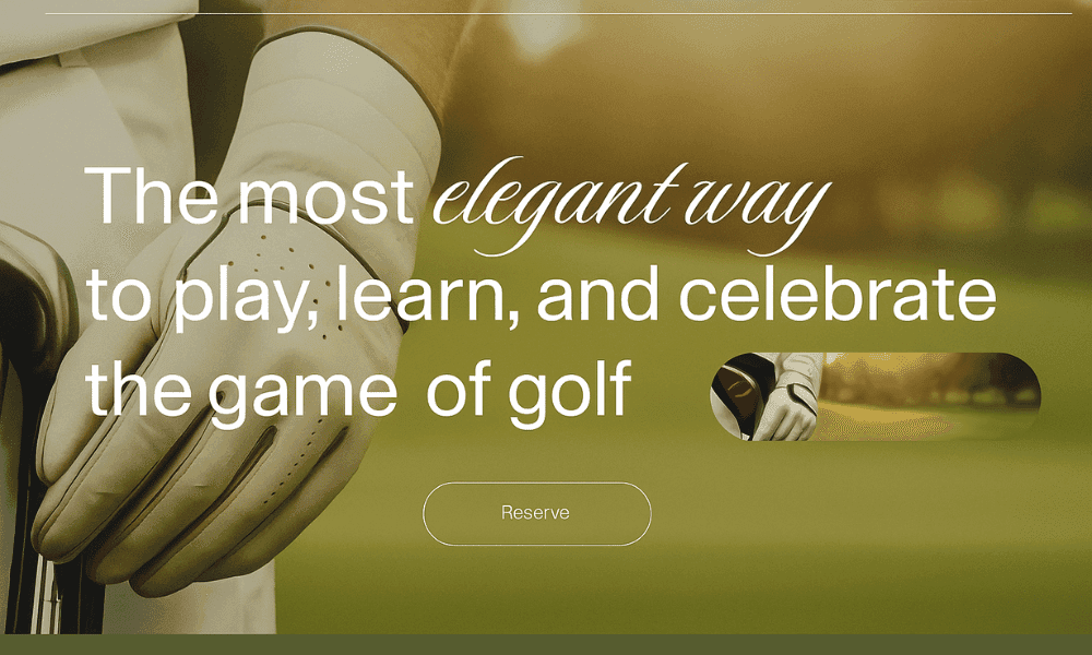niche golf training aid store