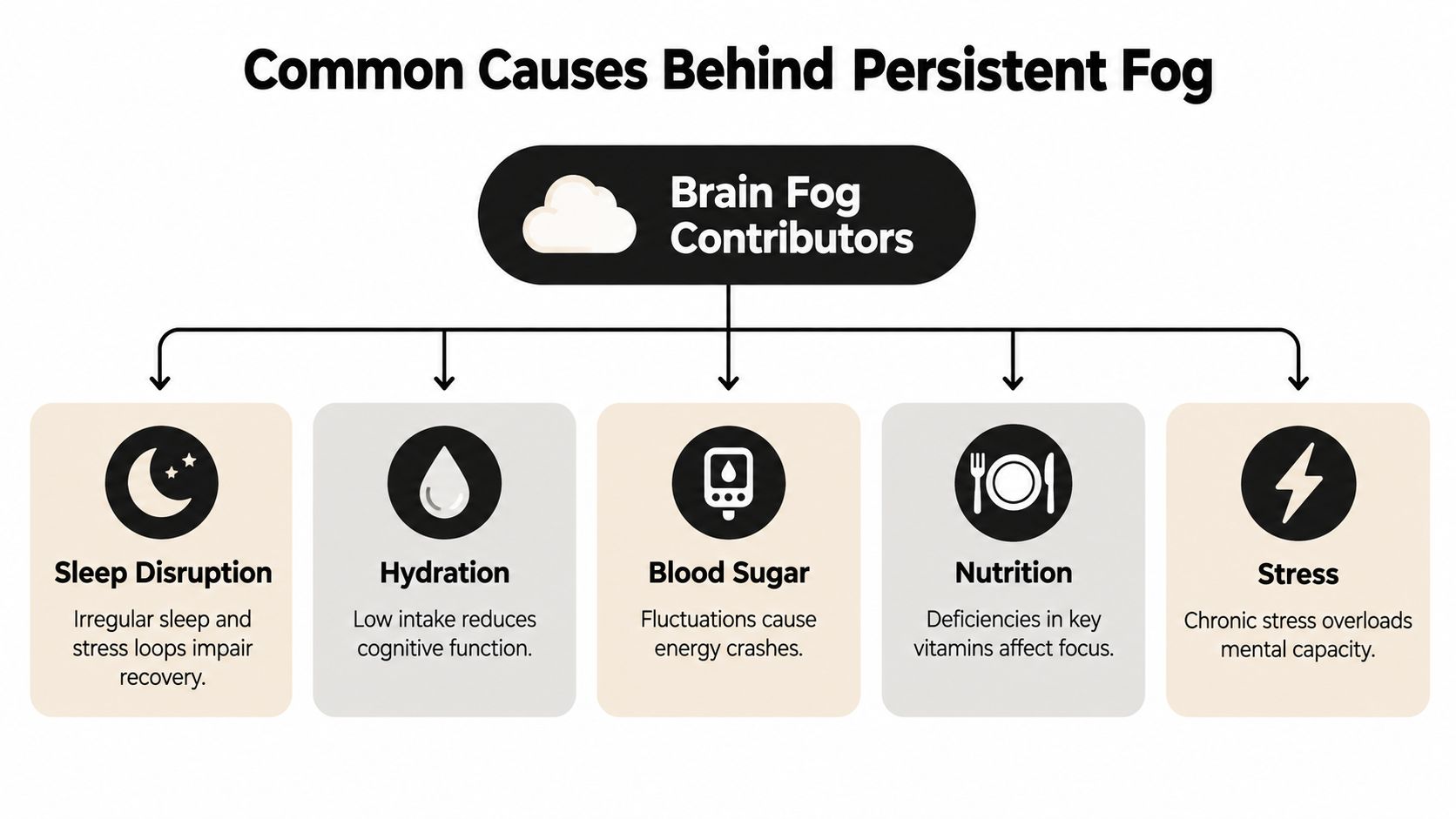 An infographic showing five common contributors to persistent brain fog: sleep disruption, hydration, blood sugar, nutrition, and stress.