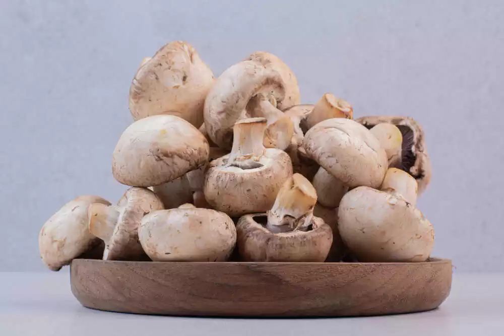 mushrooms for diabetics