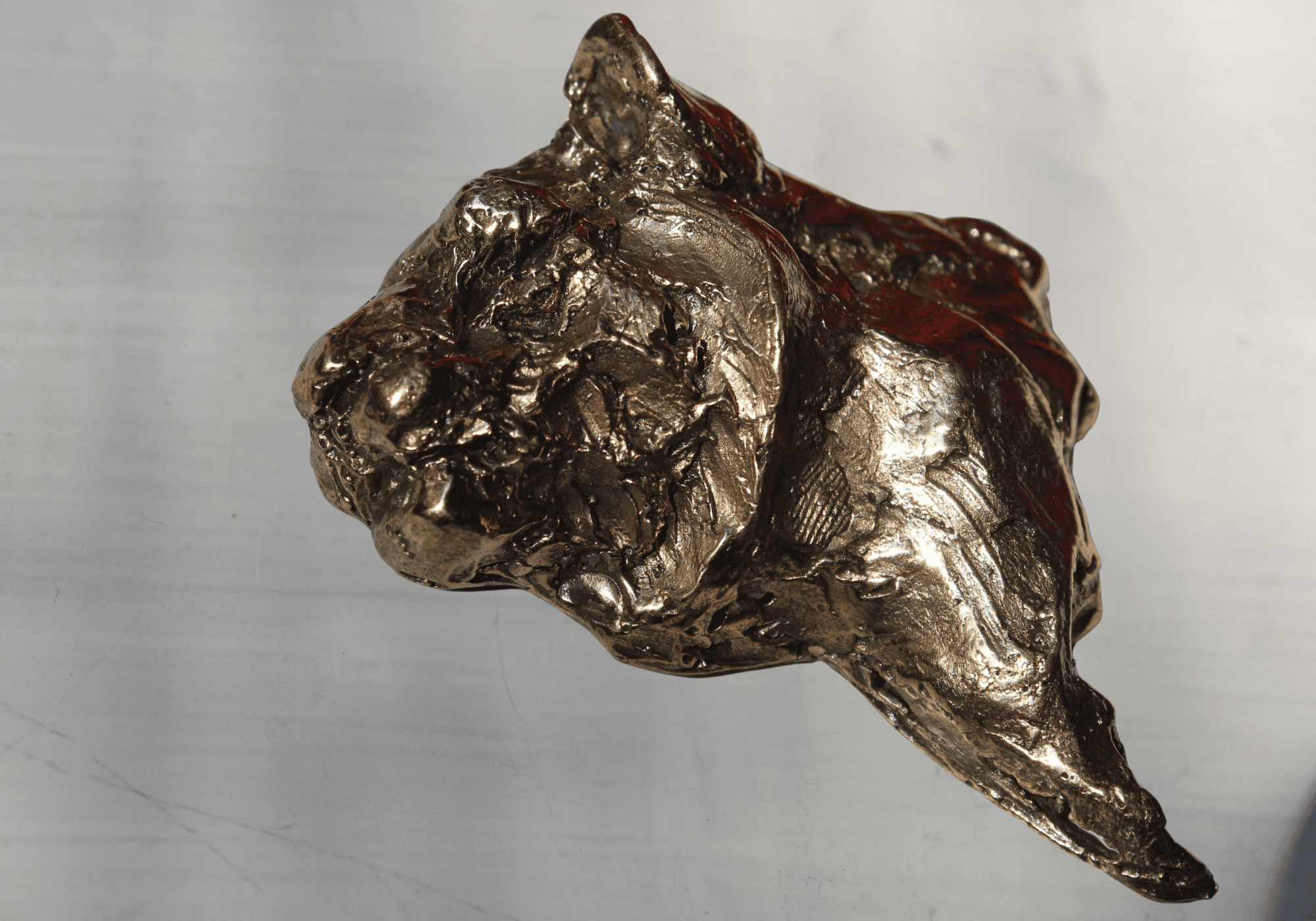 Bronze sculpture of a Lion's head