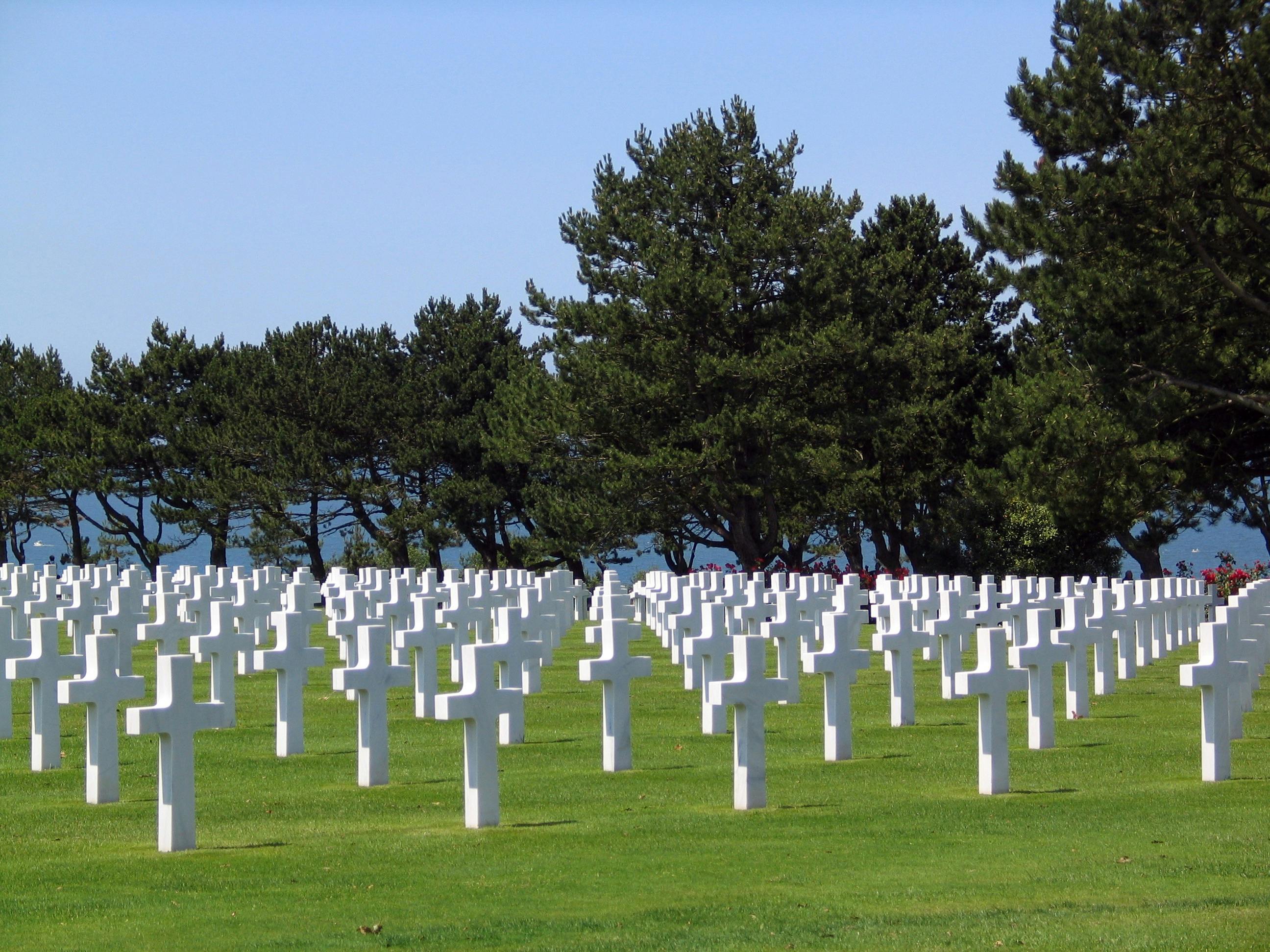 Cemetery, field with crosses