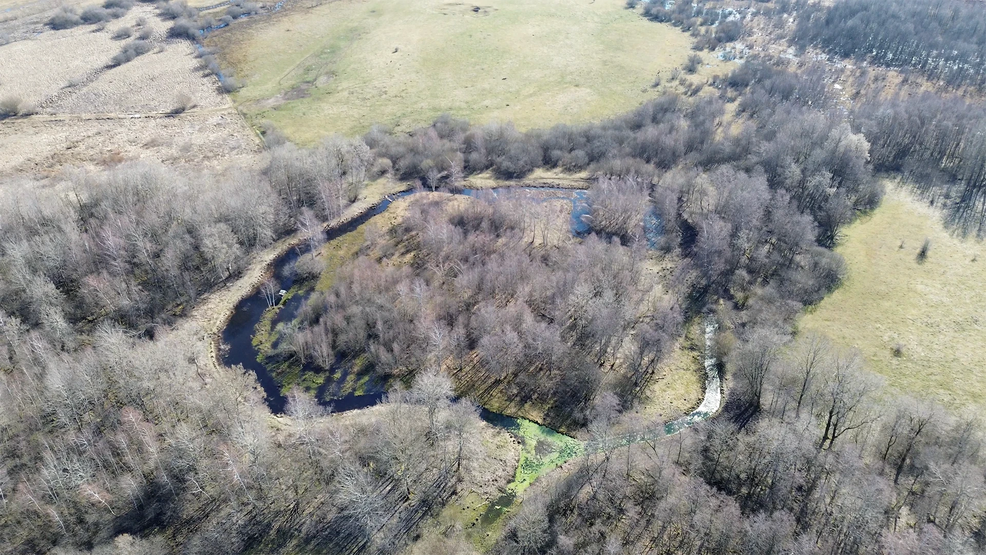 Vue aérienne d’une zone humide boisée pour Rezo Humide