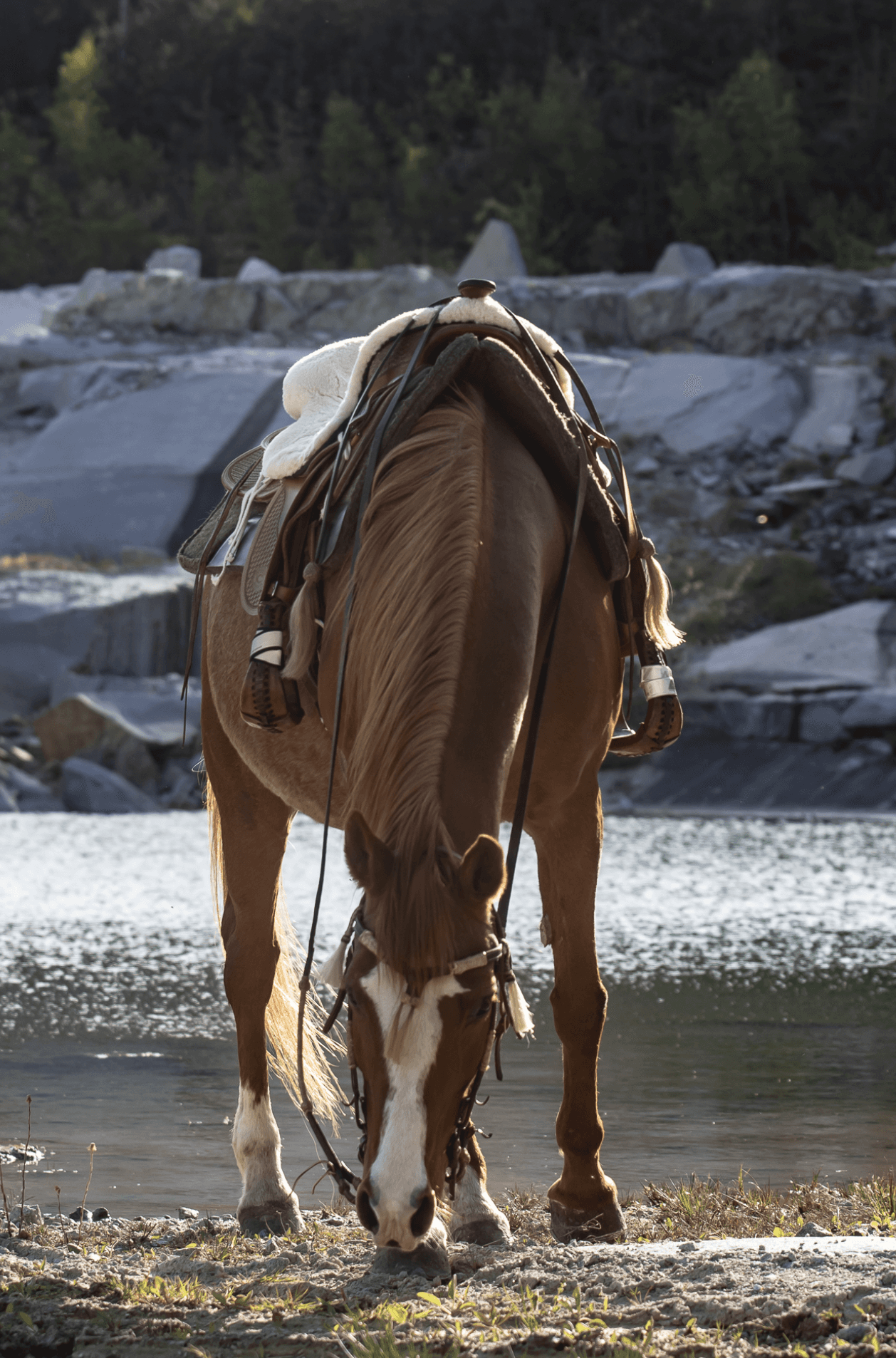 Smiling young man with short hair poses against a dark background, wearing a green button-up shirt.
