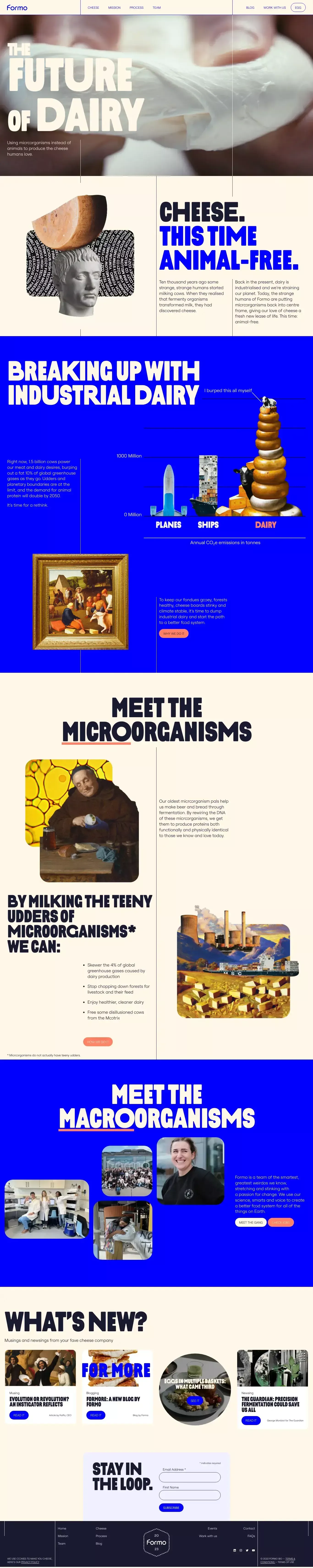 Formo landing page screenshot showcasing Tech and Food & Drinks design