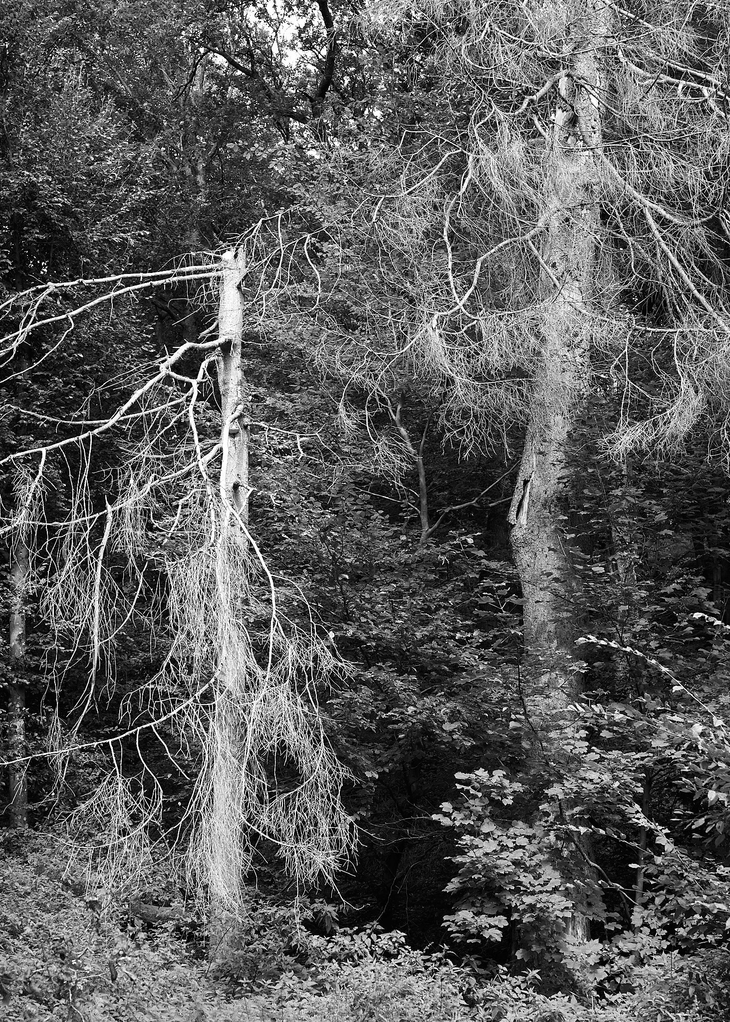 z.t. - serie 'Light in a Concrete World' #6057 | fine art print op katoenpapier | 90x60cm | 2025