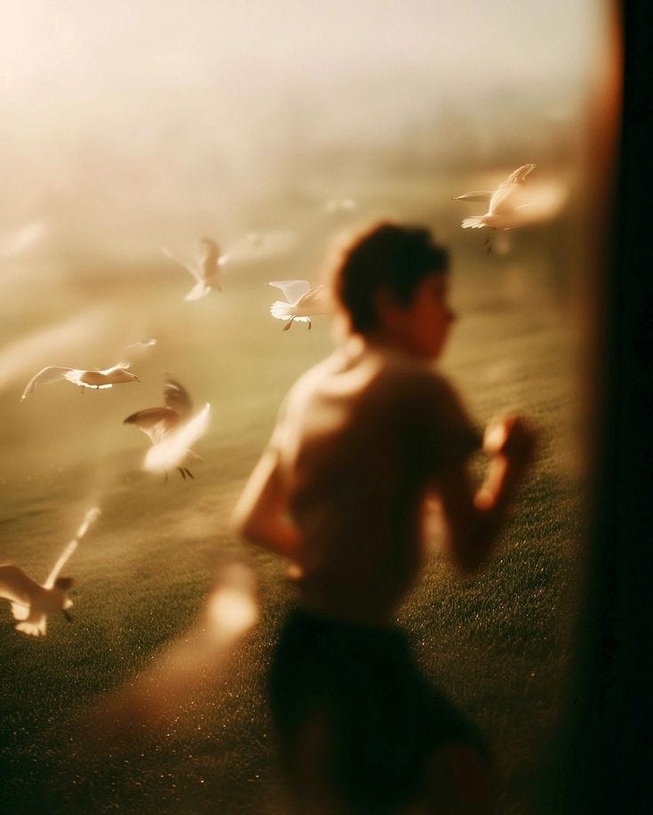 This may contain: a boy running in the grass with birds flying around him