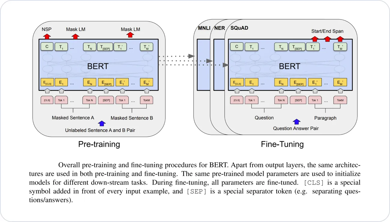 Pre-training and fine-tuning procedures for BERT