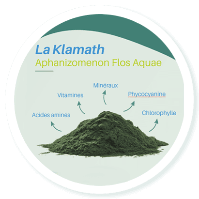 l'Algue AFA - Aphanizomenon Flos Aquae