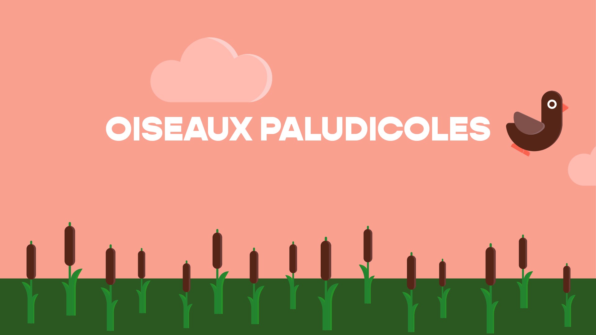 Planche 11 du storyboard