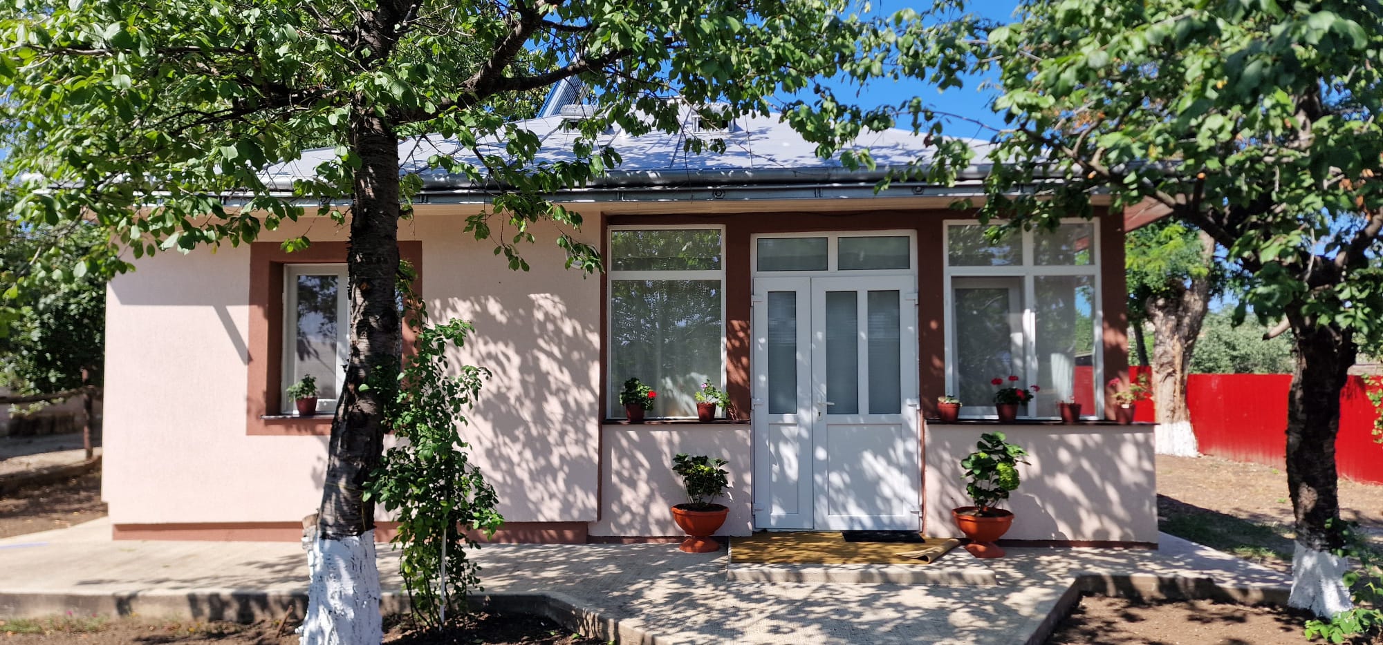 A close-up view of dark green leaves, creating a lush, textured background with subtle variations in color.