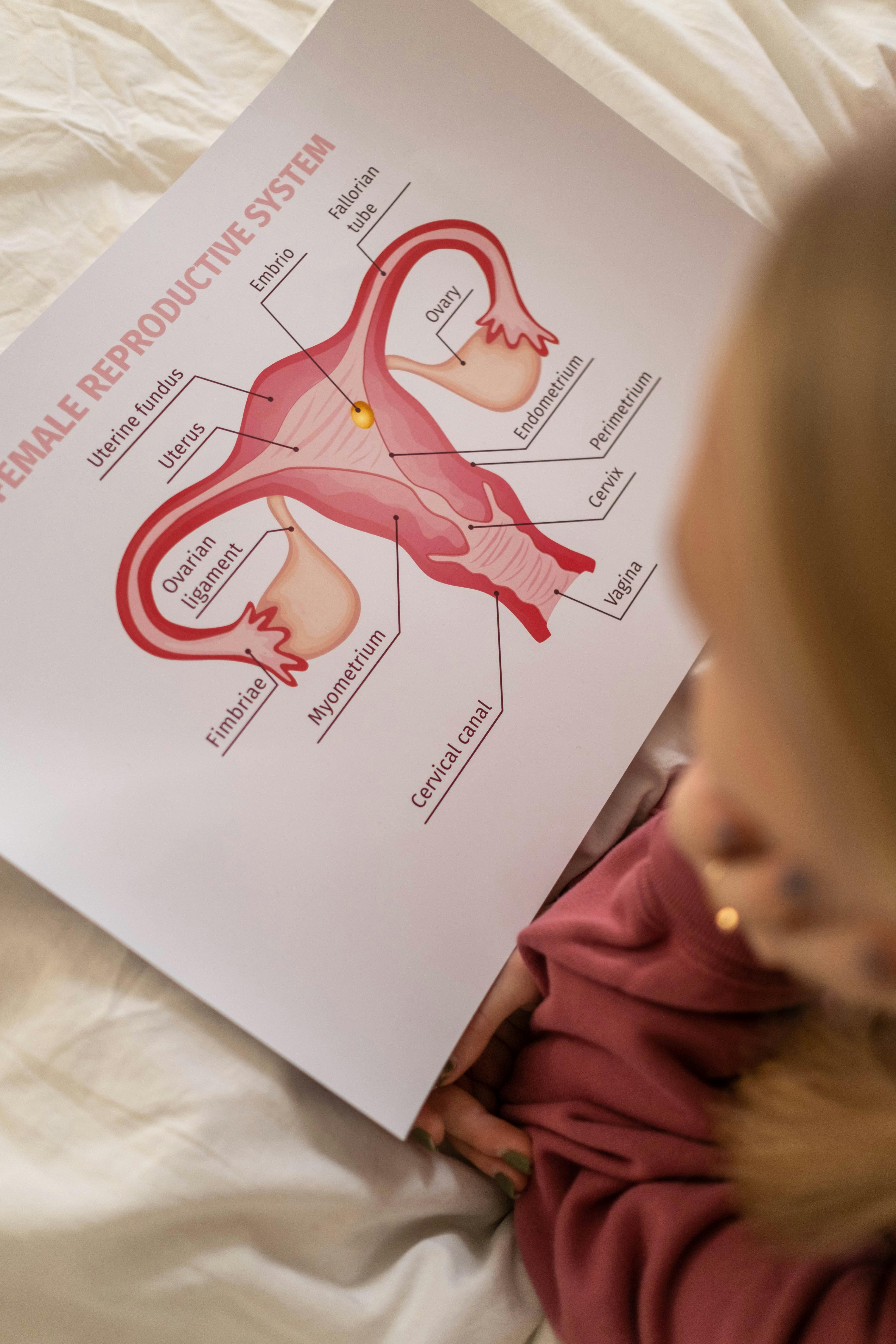Soft medical illustration showing embryo-to-uterus concept using icons (non-graphic), premium minimal style.