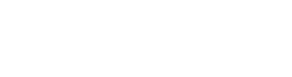 Logo Imagino