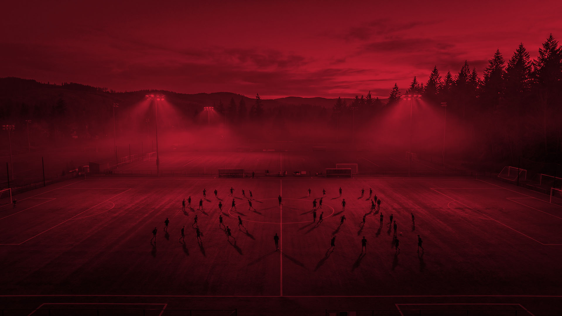 person playing soccer on field