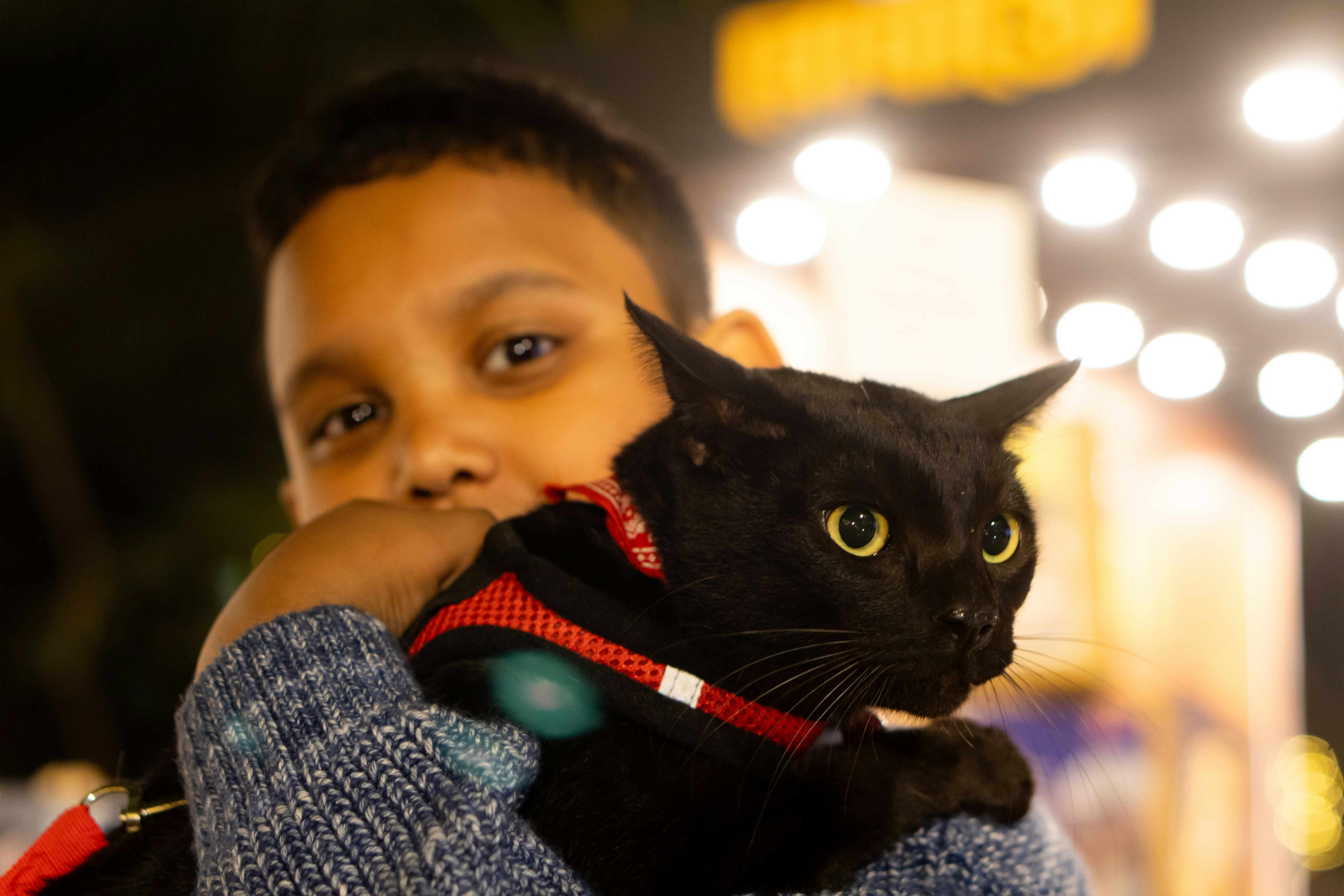 A boy holds a black cat with green eyes.