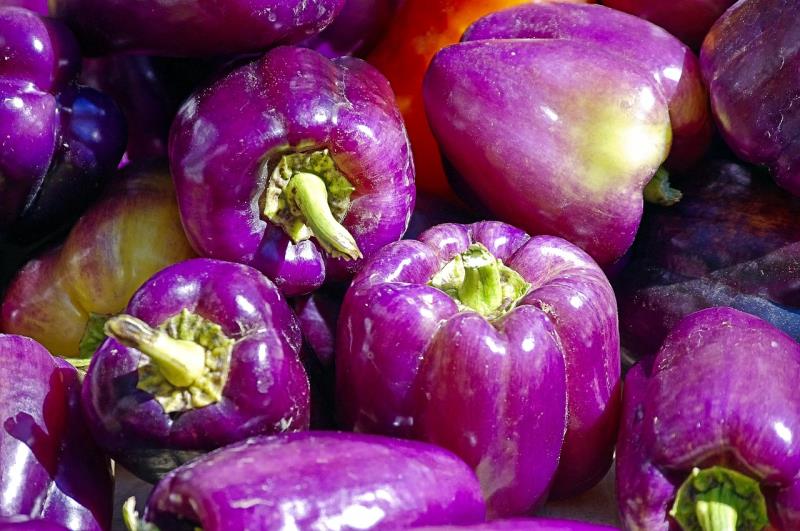 Peperoni viola