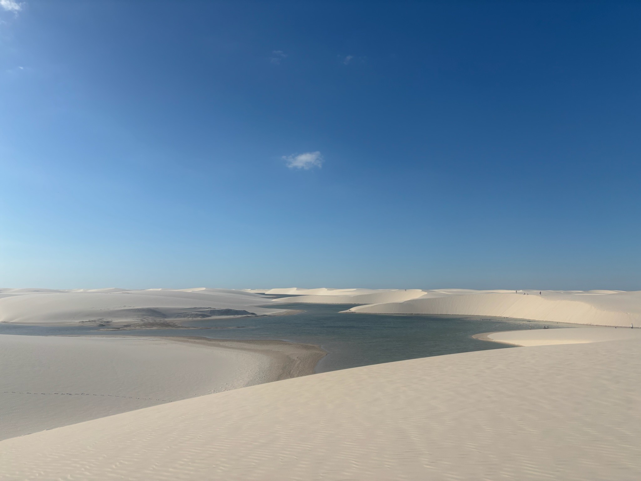 kids lying on a glass land and smiling
