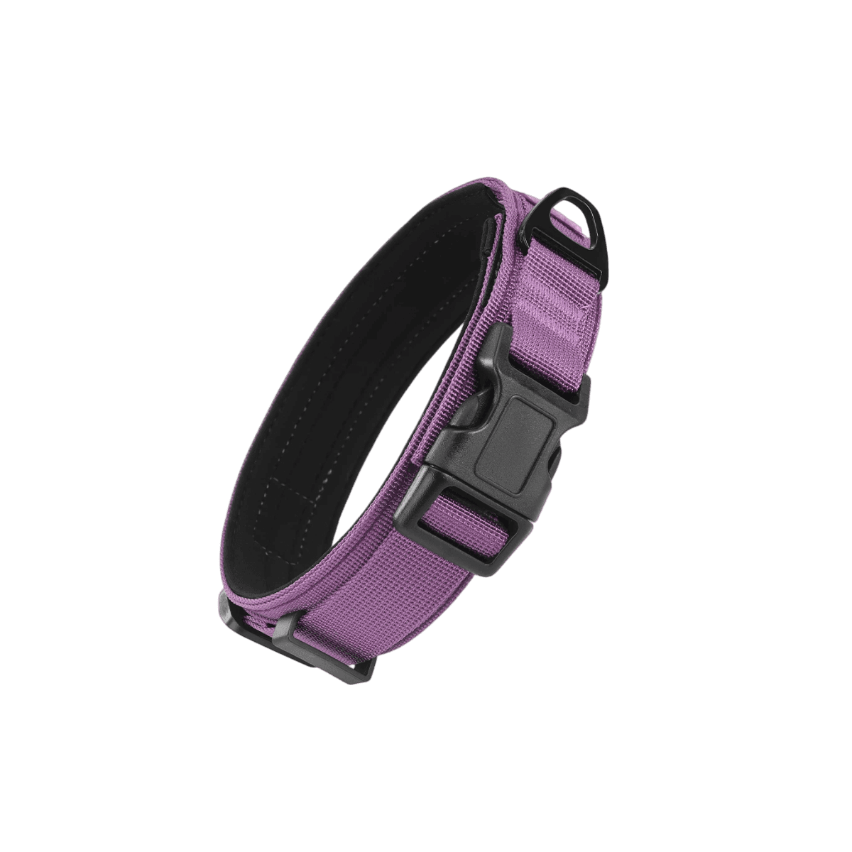 Purple / M