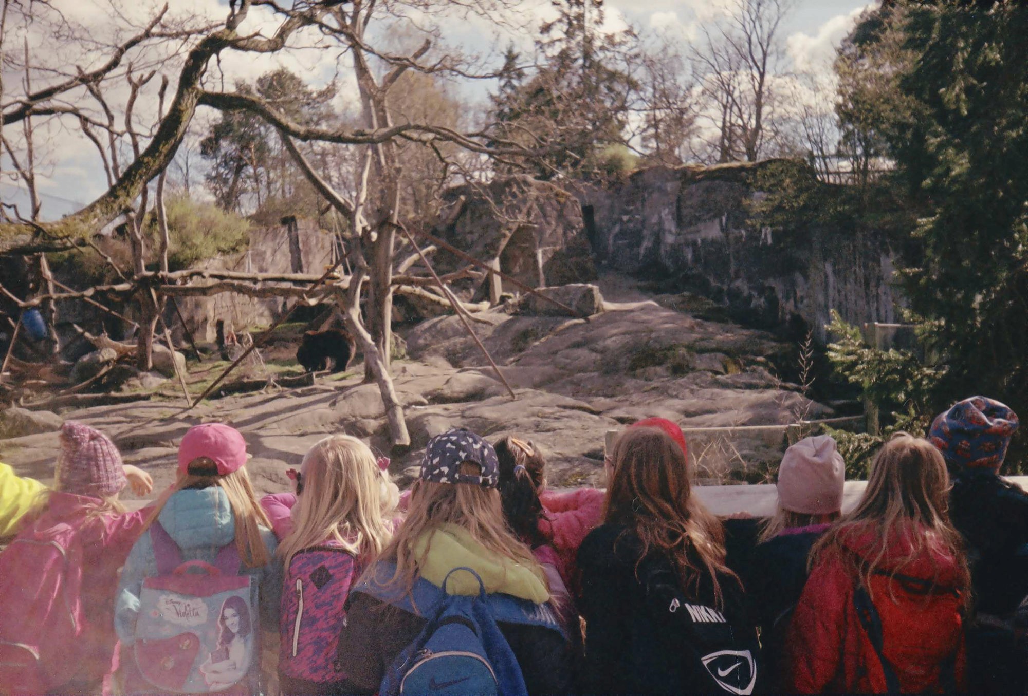 A group of children in colorful jackets and backpacks eagerly watch a bear in a rocky, tree-filled zoo enclosure under a sunny sky.