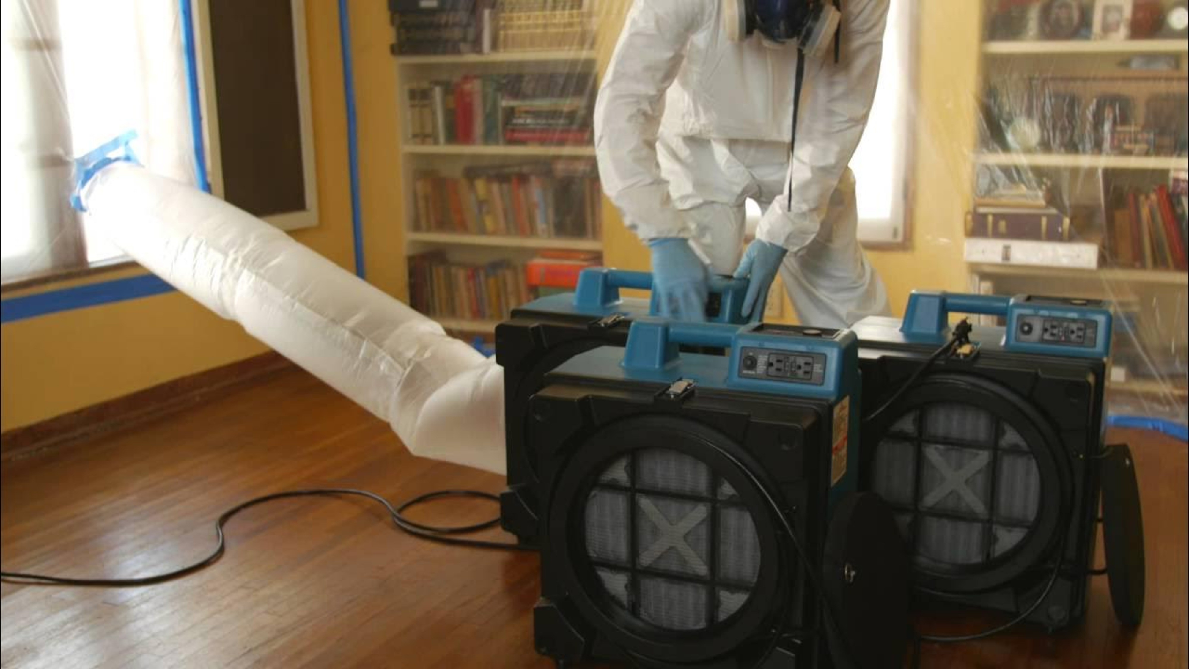 Mold Remediation