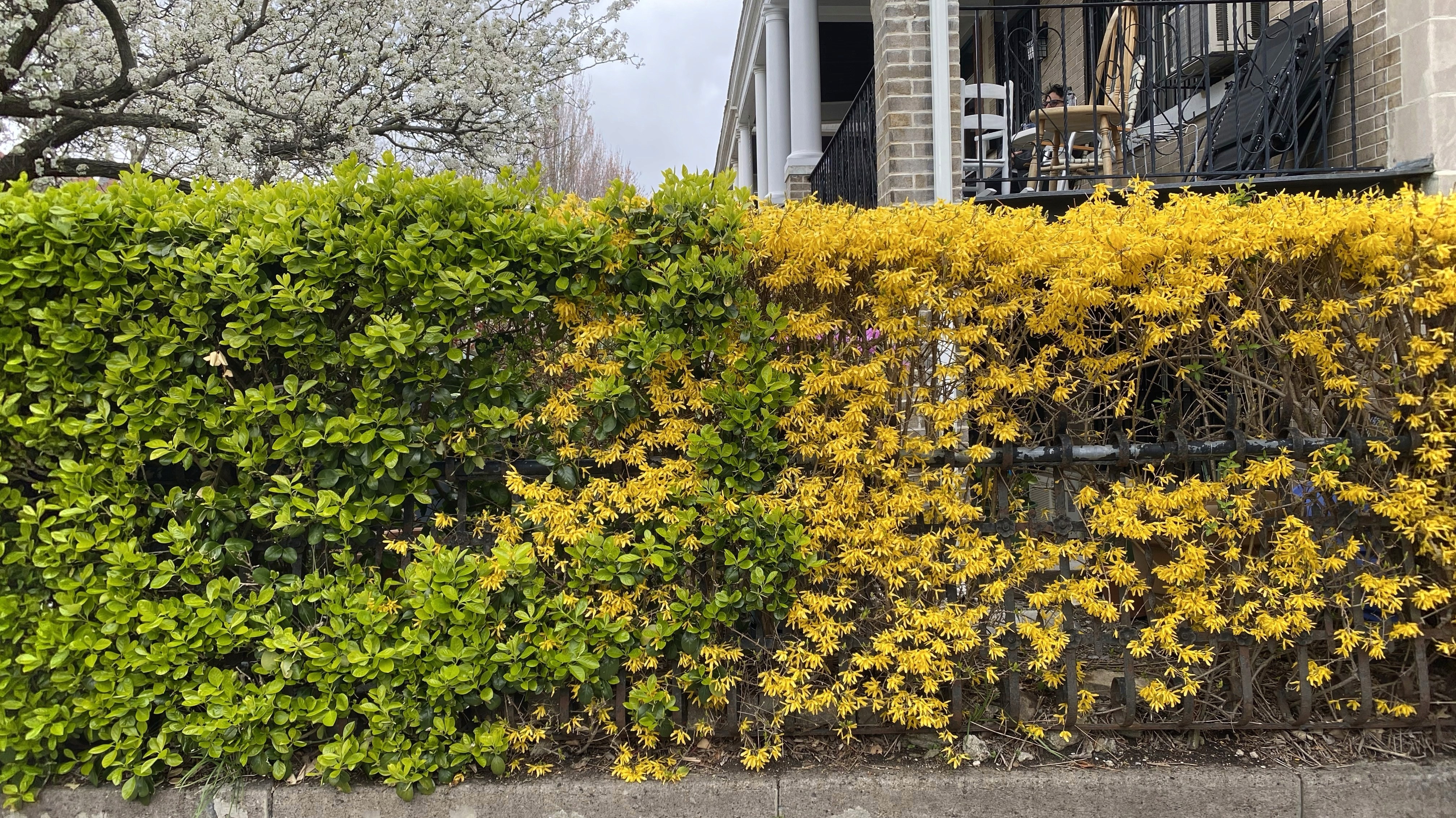 Couples therapy in Brooklyn - a Park Slope street in spring