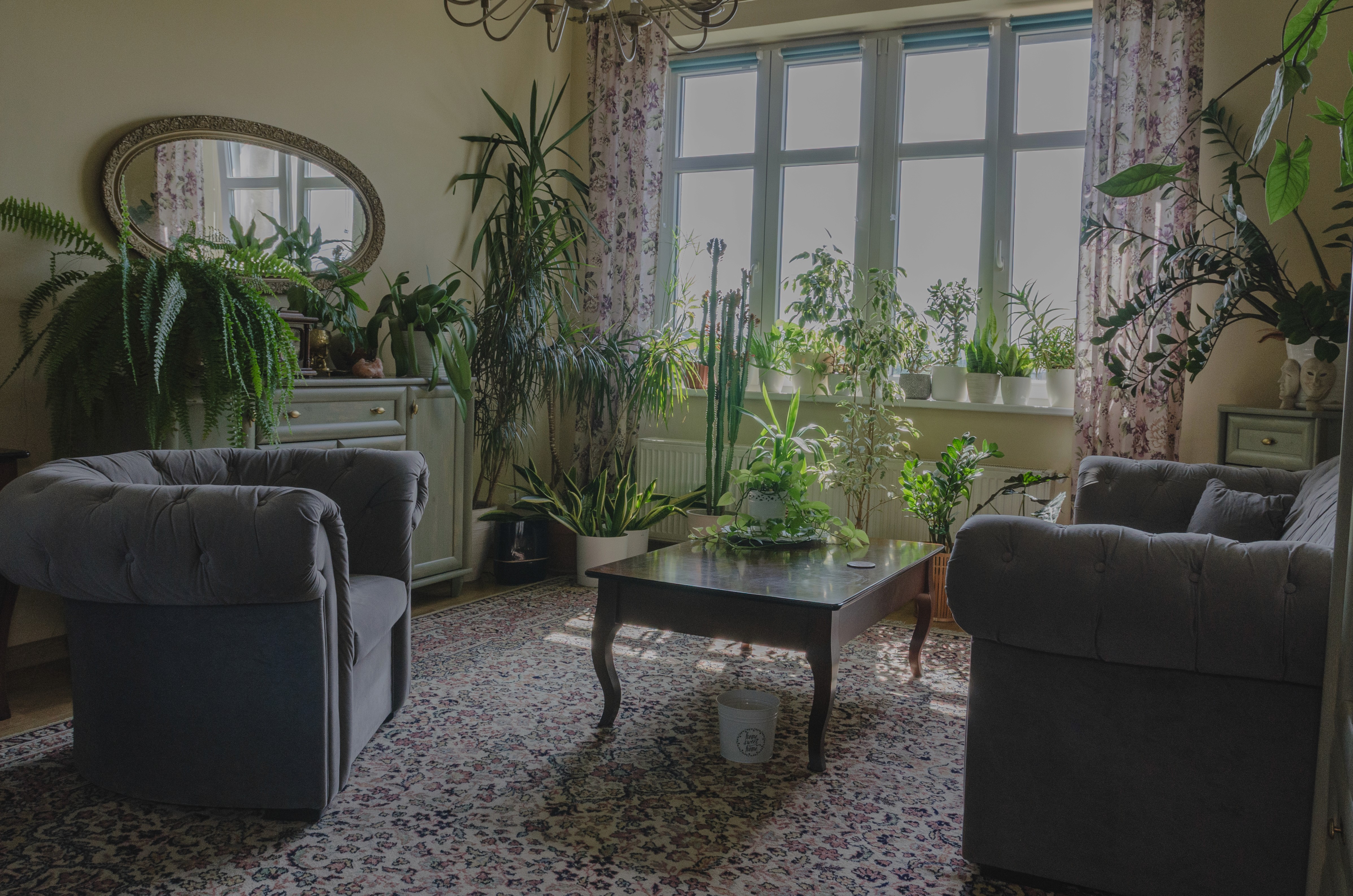 Here comes the alt text