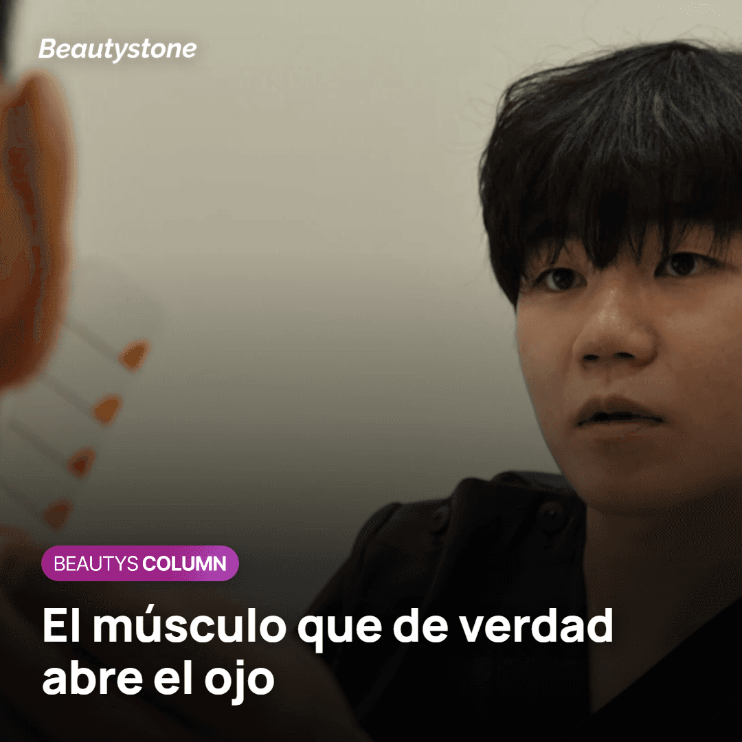 Elevador del párpado superior, el músculo que abre el ojo desde dentro del párpado