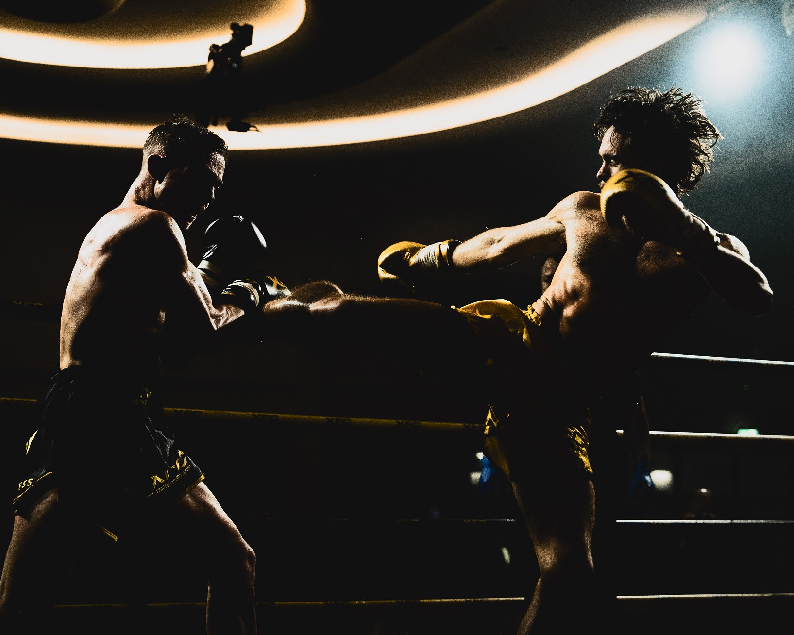 Members training at Fearless MMA