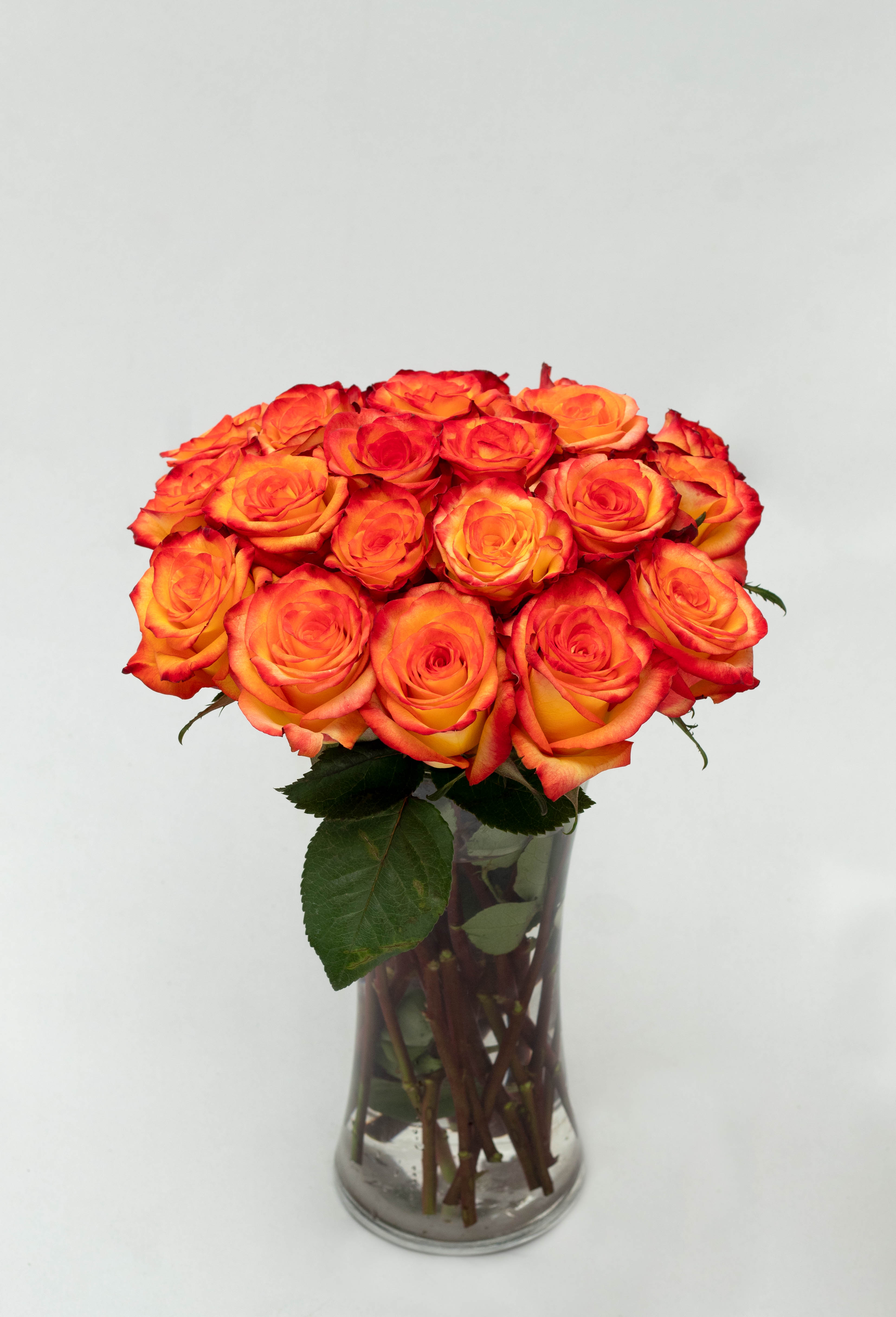 Image of Minimalist interior