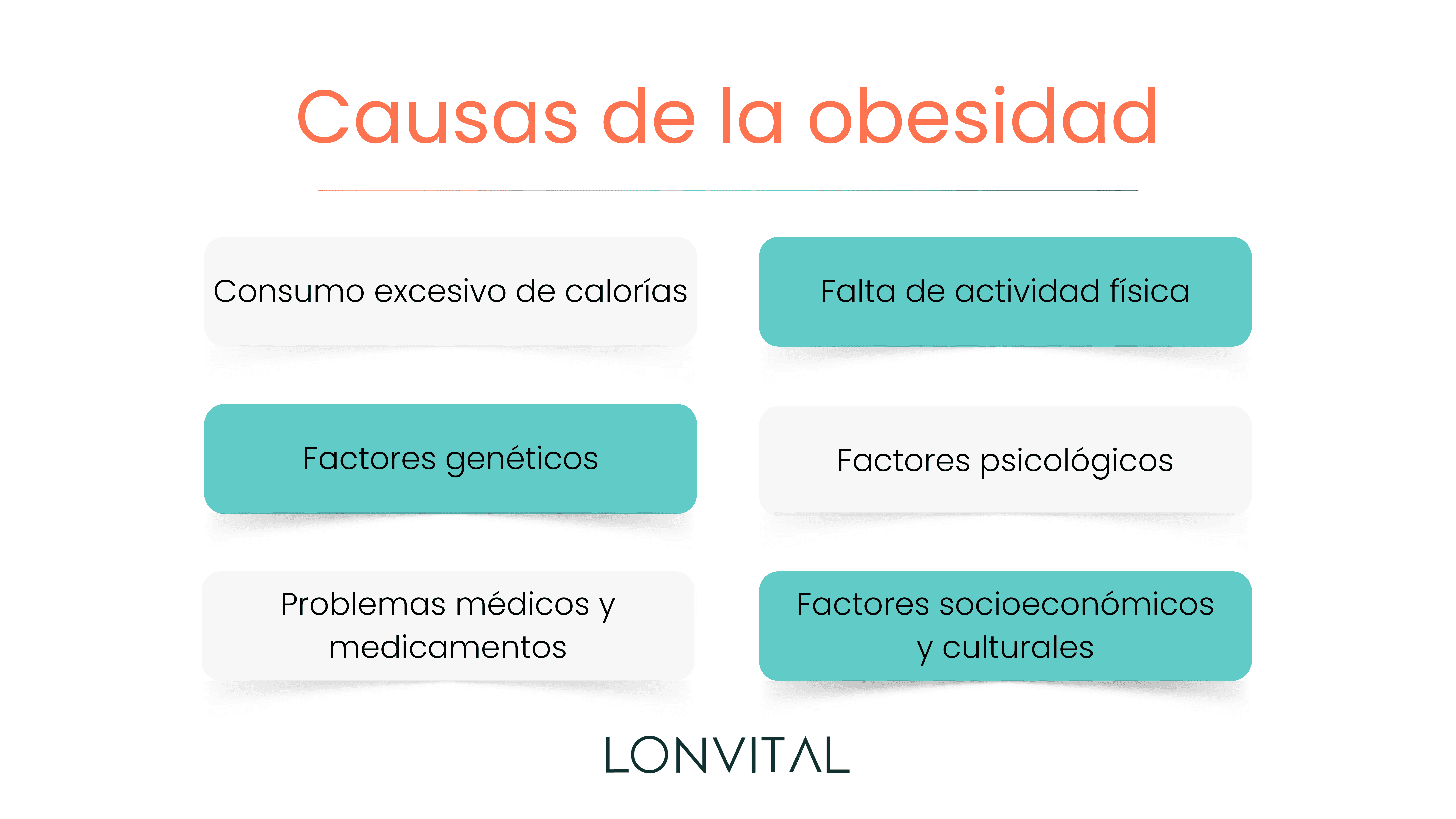 Causas de la obesidad