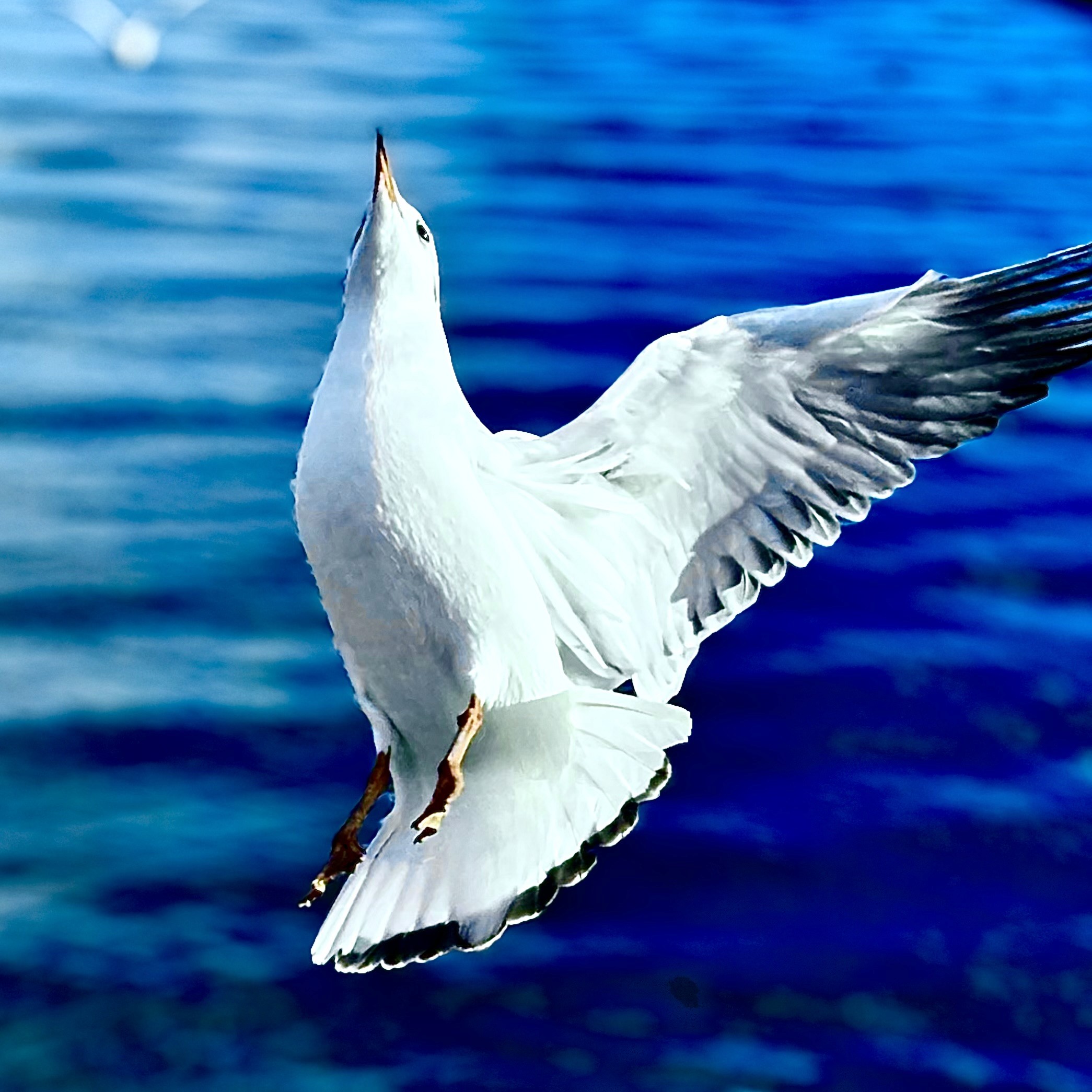 Rachel Stone standing with ABS and hands in her pockets